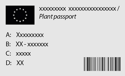 an example of plant passaport